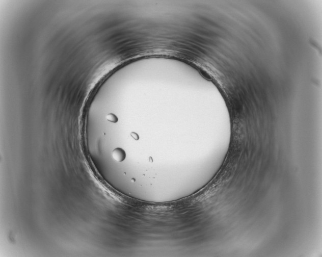 X0000094971135200712201216