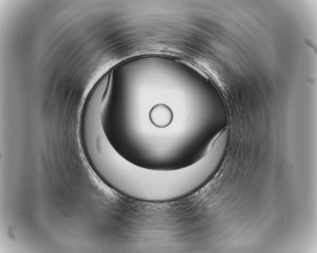 X0000094971136200712201216