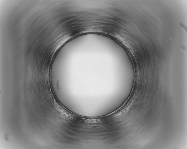 X0000094971137200712201217