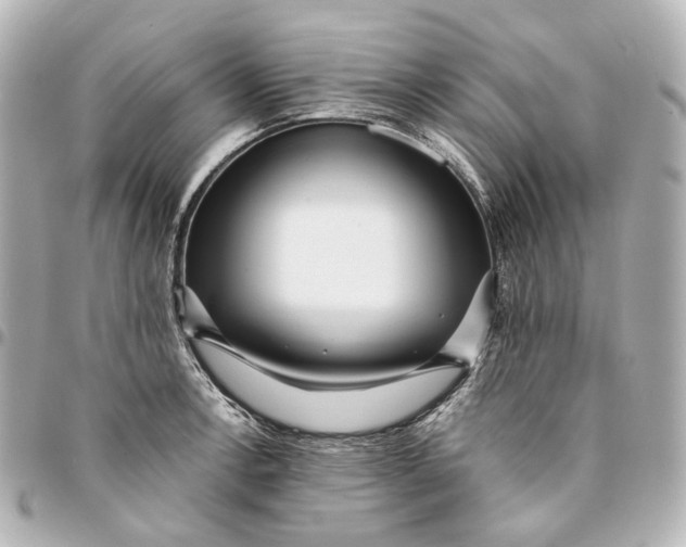 X0000094971138200712201217