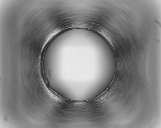 X0000094971139200712201217