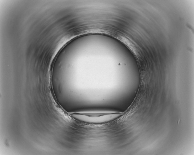 X0000094971140200712201217