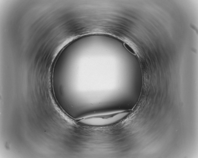 X0000094971142200712201217