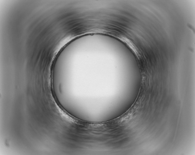 X0000094971143200712201217