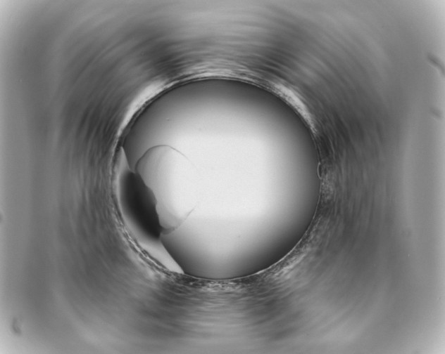 X0000094971146200712201217