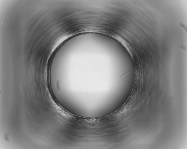 X0000094971147200712201217