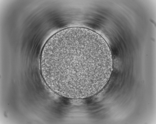 X0000094971150200712201217