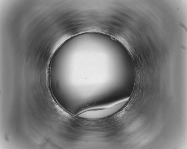 X0000094971151200712201217