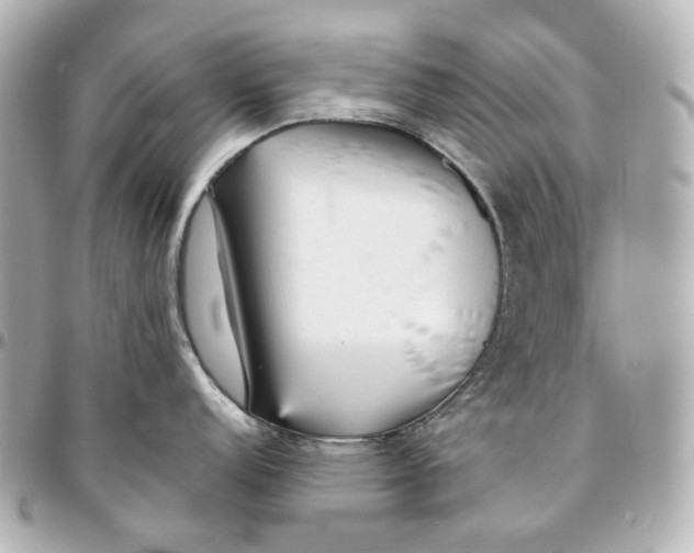 X0000094971152200712201217