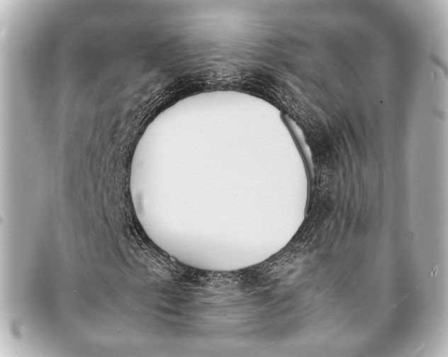 X0000094971153200712201216