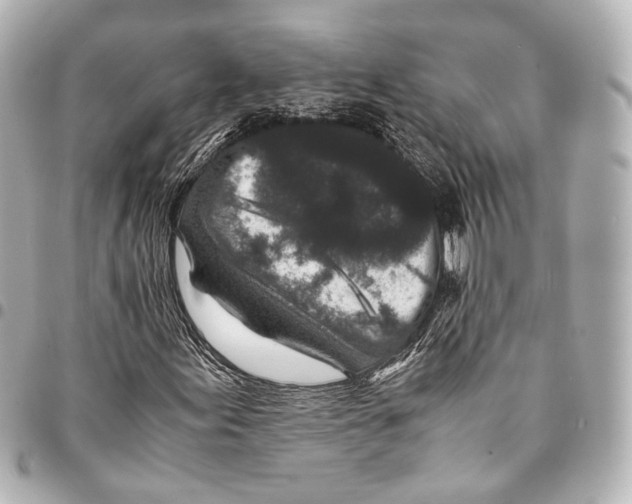 X0000094971155200712201216