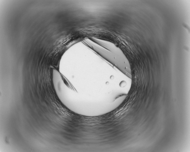 X0000094971156200712201216