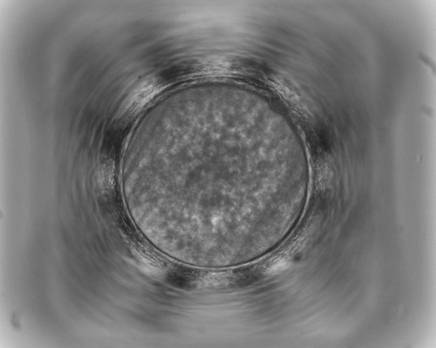 X0000094971161200712201216