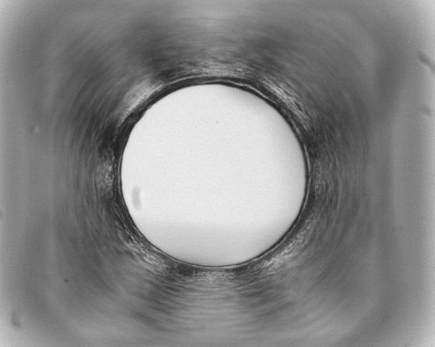 X0000094971163200712201216