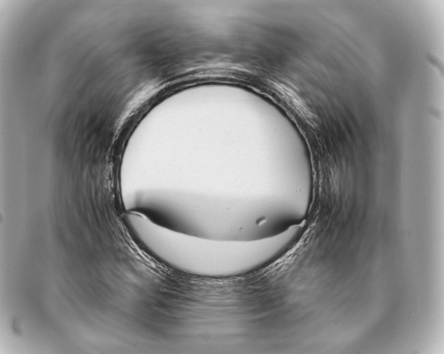 X0000094971164200712201216