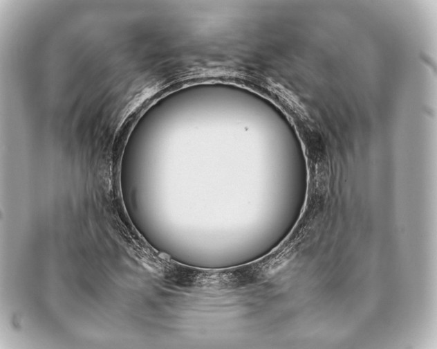 X0000094971165200712201216