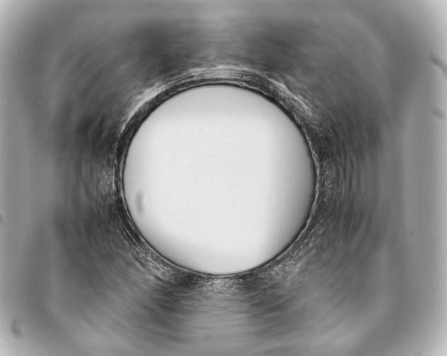 X0000094971166200712201216