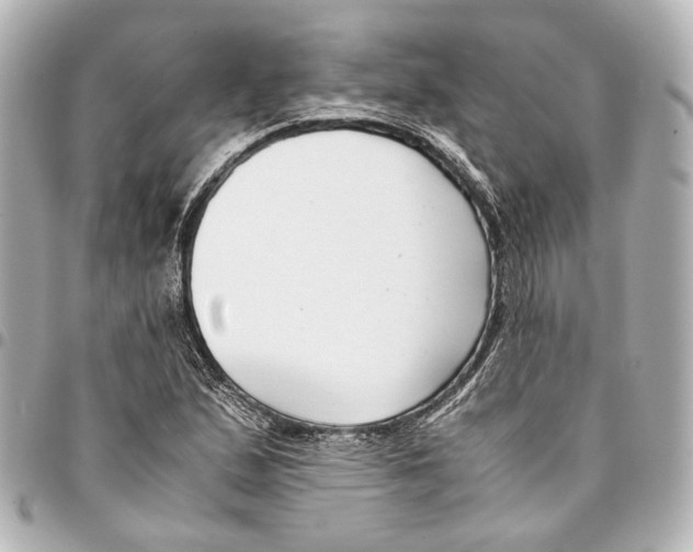 X0000094971167200712201216