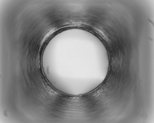 X0000094971172200712201216