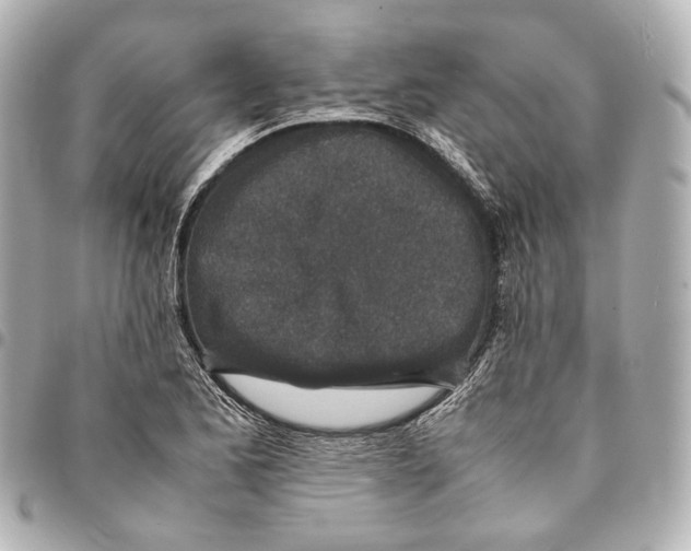 X0000094971173200712201216