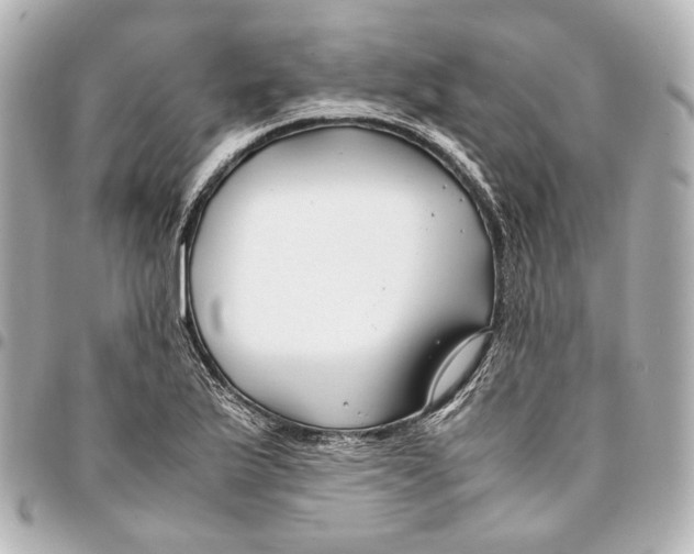 X0000094971175200712201216