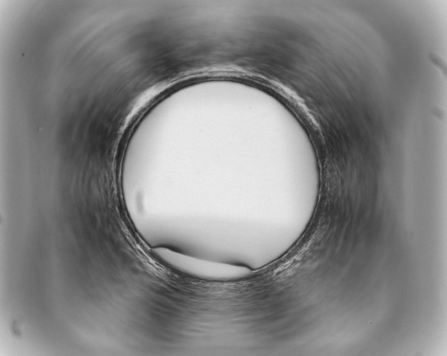 X0000094971176200712201216