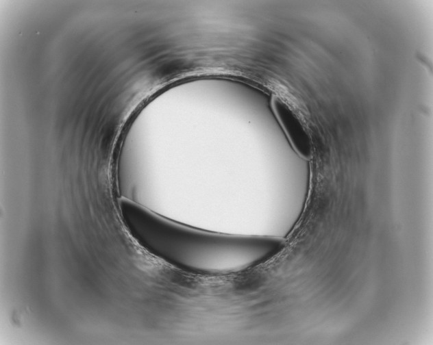 X0000094971181200712201215