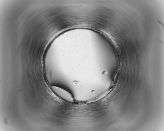 X0000094971184200712201215