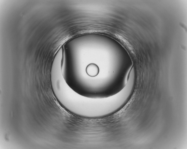 X0000094971185200712201215