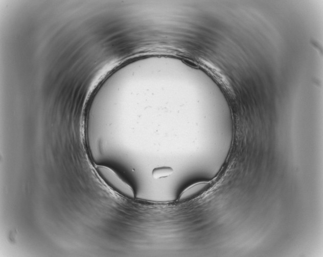 X0000094971188200712201215