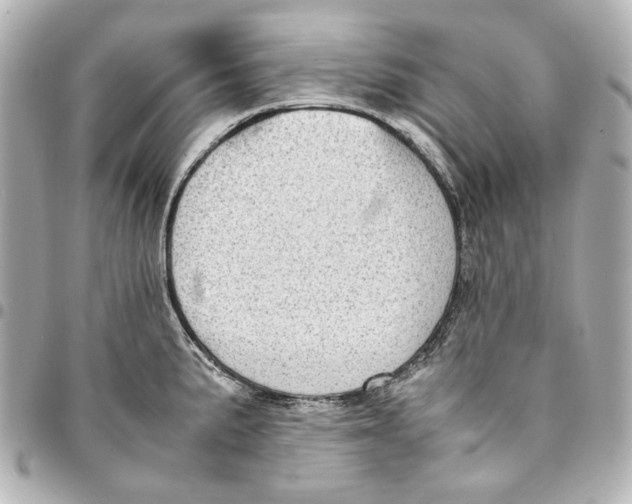 X0000094971191200712201215