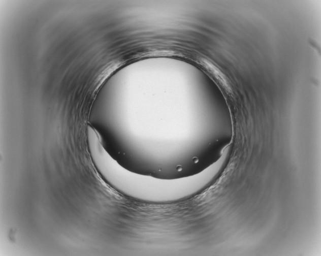 X0000094971193200712201215