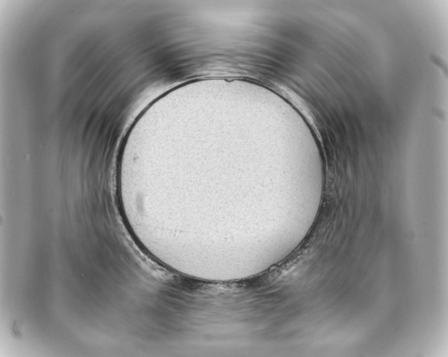 X0000094971195200712201215