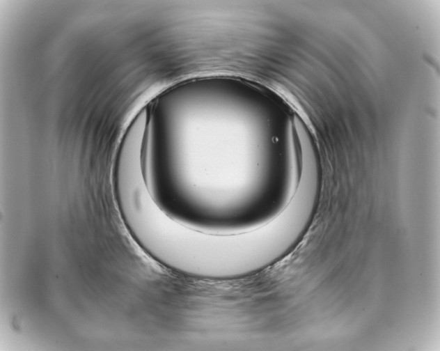 X0000094971197200712201215