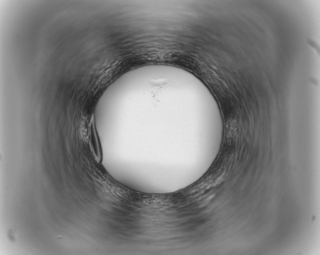 X0000094971202200712201215