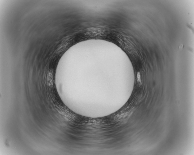 X0000094971203200712201215