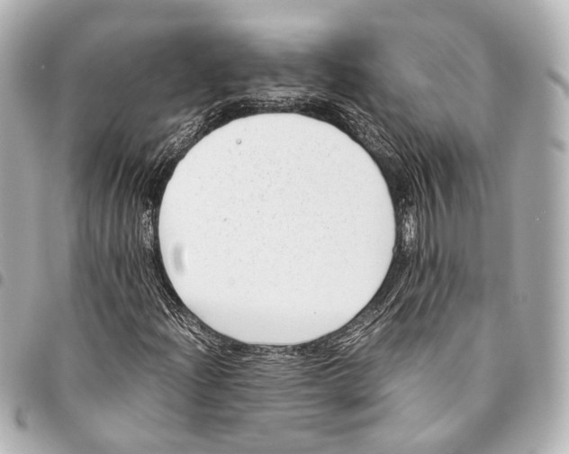 X0000094971204200712201215