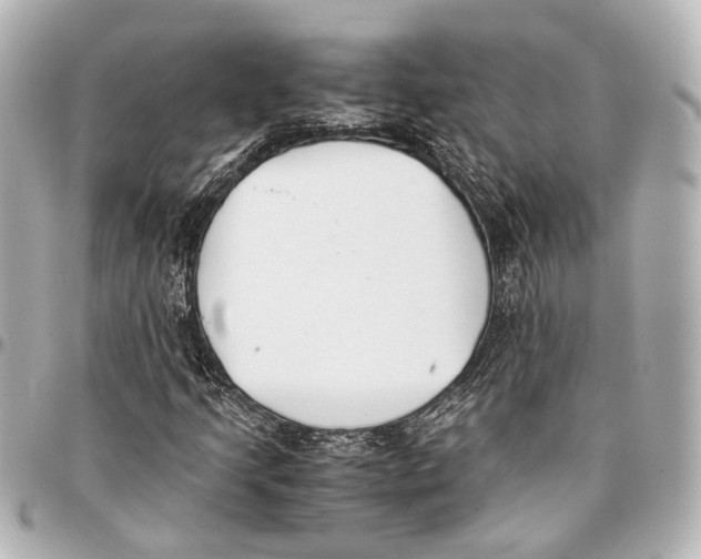 X0000094971205200712201215