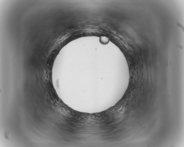 X0000094971207200712201215