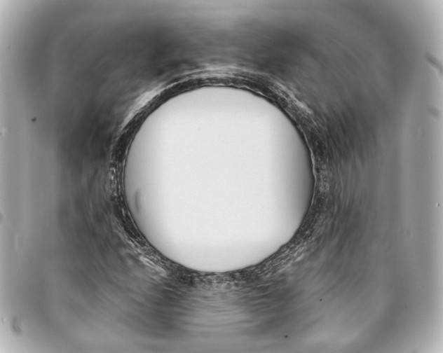 X0000094971208200712201215