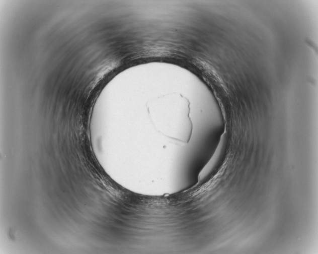 X0000094971210200712201215