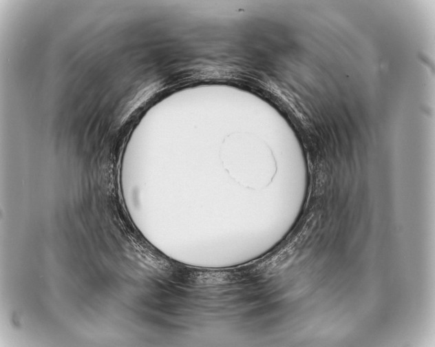 X0000094971211200712201215