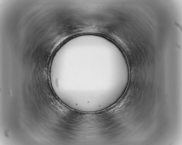 X0000094971212200712201215