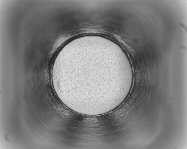 X0000094971215200712201215