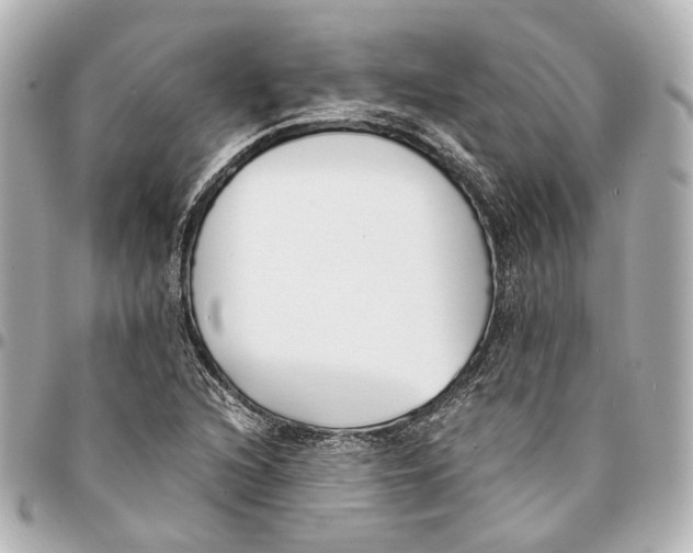 X0000094971216200712201215