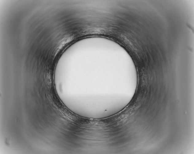 X0000094971218200712201215