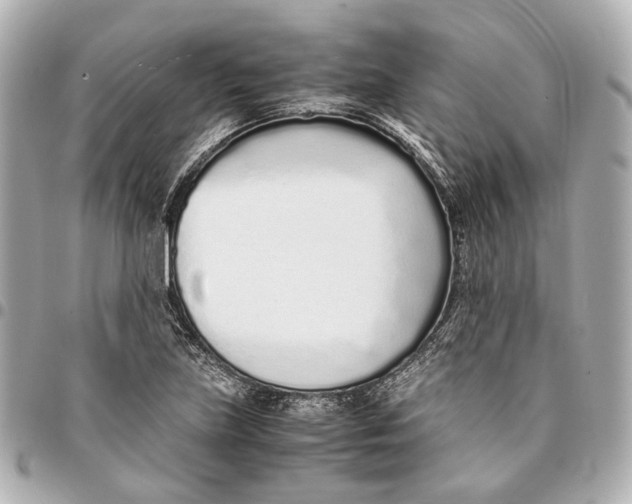 X0000094971219200712201215