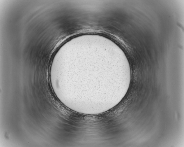 X0000094971220200712201215