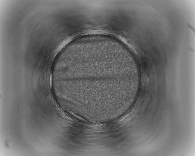 X0000094971221200712201215