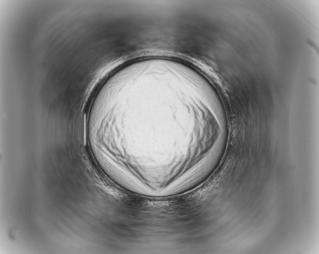 X0000094971223200712201215